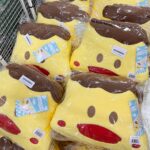 ตุ๊กตาหมอนผ้าห่ม